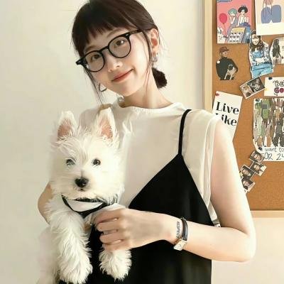 倒霉熊之茶杯旅行记